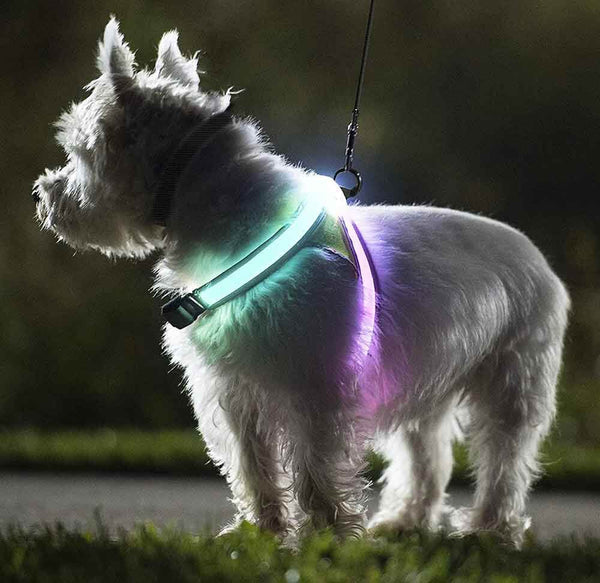 LED Rechargeable Dog Harness
