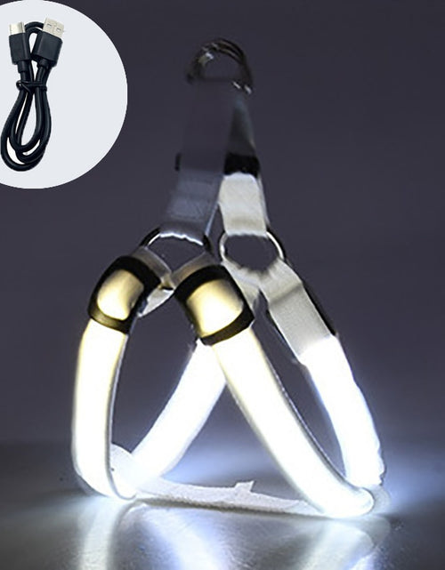 Load image into Gallery viewer, LED Rechargeable Dog Harness
