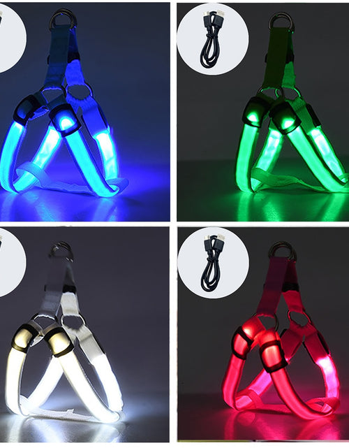 Load image into Gallery viewer, LED Rechargeable Dog Harness
