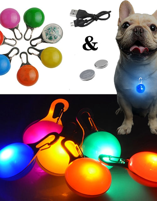Load image into Gallery viewer, Pet LED Safety Collar Night Light
