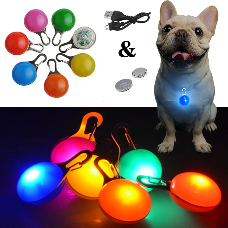 Pet LED Safety Collar Night Light