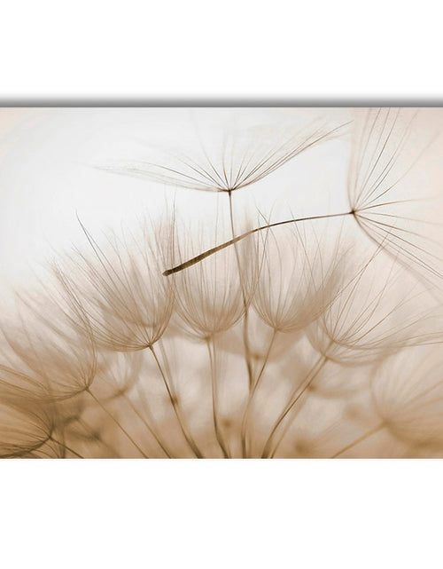 Load image into Gallery viewer, Sunset Reeds Canvas Print Posters

