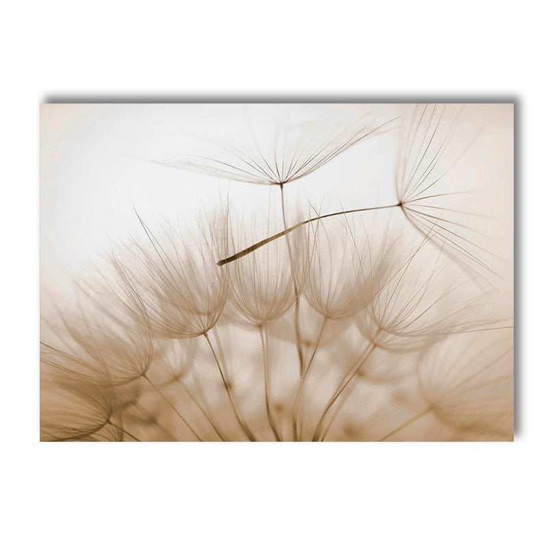 Sunset Reeds Canvas Print Posters