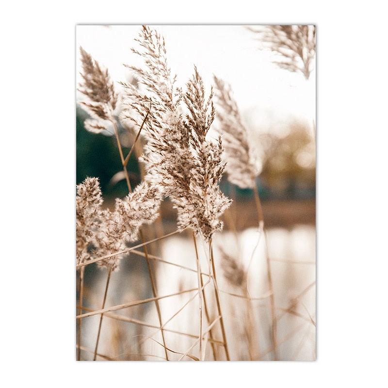 Sunset Reeds Canvas Print Posters