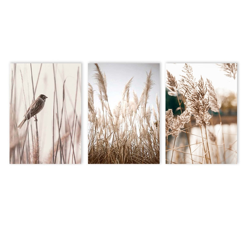Sunset Reeds Canvas Print Posters